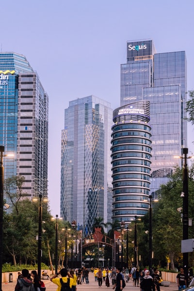 High-rise building near the tree during the day
